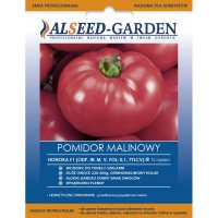 Pomidor Honoka F1 Malinowy szklarniowy tunelowy 15n NASIONA HOLENDERSKIE