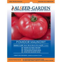 Pomidor malinowy Takado 15n F1 NASIONA HOLENDERSKIE