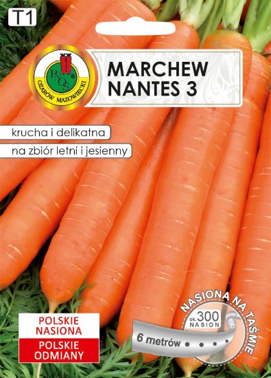 Marchew Nantes 3 nasiona na taśmie PNOS 6m - Kliknij na obrazek aby go zamknąć