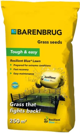 Trawa BARENBRUG Resilient Blue Lawn przetrwa ekstremalne warunki 15kg 750m2