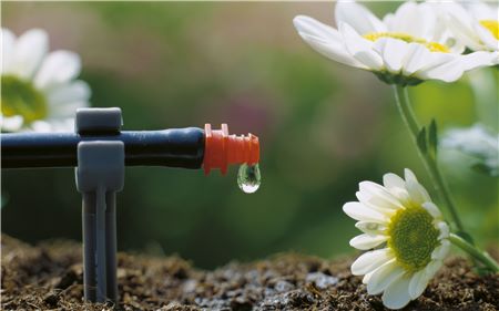 GARDENA Zestaw nawadniający do roślin doniczkowych