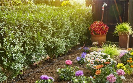 GARDENA Linia kroplująca do rzędów roślin Zestaw S