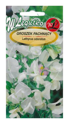 Groszek pachnący biały nasiona 3g LEGUTKO - Kliknij na obrazek aby go zamknąć