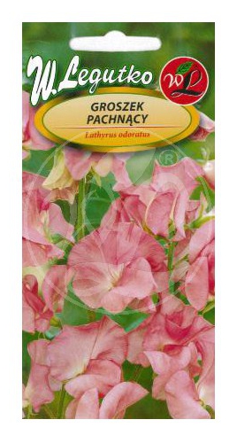 Groszek pachnący różowy nasiona 3g LEGUTKO - Kliknij na obrazek aby go zamknąć