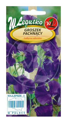 Groszek pachnący wiśniowofioletowy nasiona 3g LEGUTKO - Kliknij na obrazek aby go zamknąć