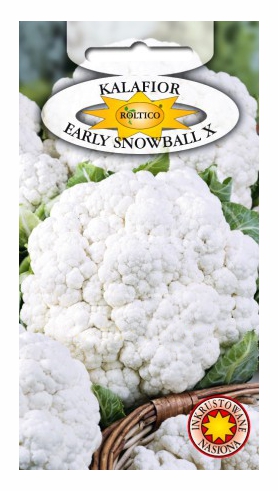 Kalafior Early Snowball nasiona 1g ROLTICO - Kliknij na obrazek aby go zamknąć
