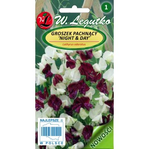 Groszek pachnący Night&Day nasiona 3g LEGUTKO e-rosa_pl - Kliknij na obrazek aby go zamknąć