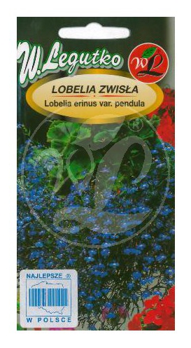 Lobelia zwisła niebieska nasiona 0,2g LEGUTKO - Kliknij na obrazek aby go zamknąć