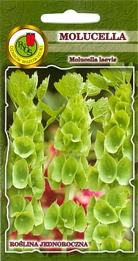 Dzwonki Irlandzkie Molucella nasiona 0,5g PNOS - Kliknij na obrazek aby go zamknąć