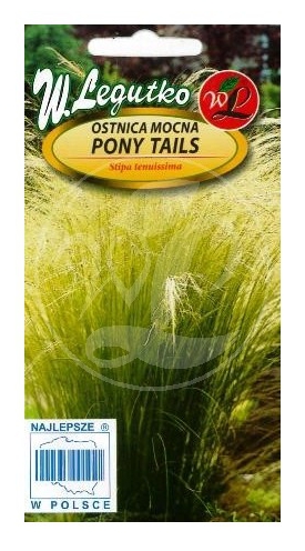 Ostnica mocna - Pony Tails zielona nasiona 0,05g LEGUTKO - Kliknij na obrazek aby go zamknąć
