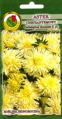 Aster chryzantemowy żółty nasiona 0,8g PNOS - Kliknij na obrazek aby go zamknąć