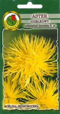 Aster igiełkowy żółty nasiona 0,8g PNOS - Kliknij na obrazek aby go zamknąć