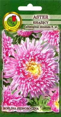 Aster książęcy różowy nasiona 0,8g PNOS - Kliknij na obrazek aby go zamknąć