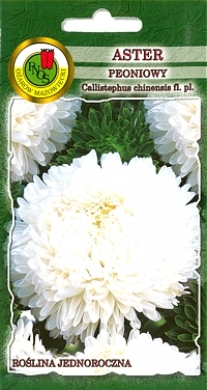 Aster peoniowy biały nasiona 0,8g PNOS - Kliknij na obrazek aby go zamknąć
