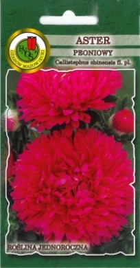 Aster peoniowy różowopurpurowy nasiona 0,8g PNOS - Kliknij na obrazek aby go zamknąć