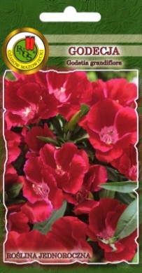 Godecja wielkokwiatowa czerwona nasiona 1g PNOS - Kliknij na obrazek aby go zamknąć