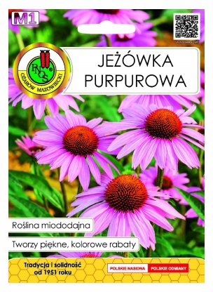 Jeżówka Purpurowa miododajna nasiona 1g PNOS - Kliknij na obrazek aby go zamknąć