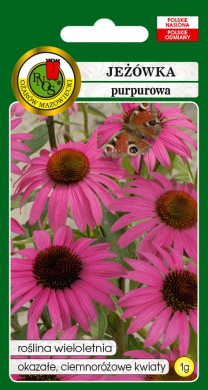 Jeżówka Echinacea purpurowa nasiona 1g PNOS - Kliknij na obrazek aby go zamknąć