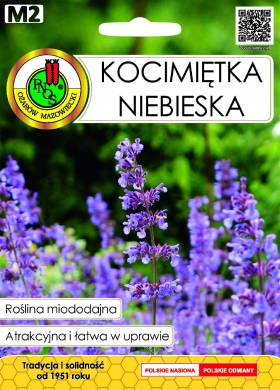 Kocimiętka niebieska miododajna nasiona 0,5g PNOS - Kliknij na obrazek aby go zamknąć