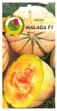 Melon Malaga bardzo słodki nasiona 1g PNOS - Kliknij na obrazek aby go zamknąć