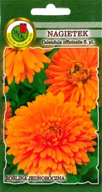 Nagietek pomarańczowy nasiona 3g PNOS - Kliknij na obrazek aby go zamknąć