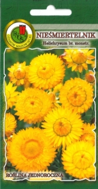 Nieśmiertelnik kocanka żółty nasiona 1,5g PNOS - Kliknij na obrazek aby go zamknąć