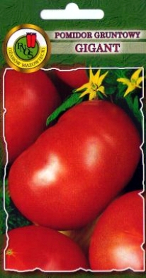 Pomidor Gigant gruntowa odmiana duże smaczne owoce nasiona 1g PNOS - Kliknij na obrazek aby go zamknąć