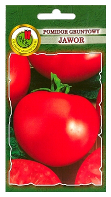 Pomidor Jawor gruntowy karłowy bardzo plenny nasiona 1g PNOS - Kliknij na obrazek aby go zamknąć