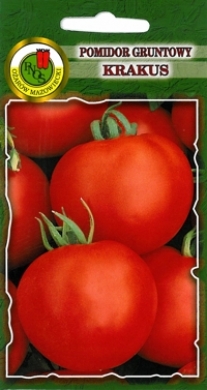 Pomidor Krakus gruntowy wysoki bardzo smaczny nasiona 10g PNOS - Kliknij na obrazek aby go zamknąć