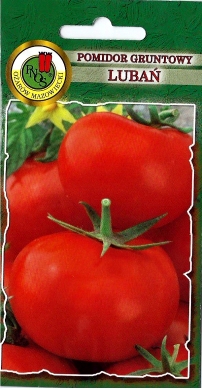 Pomidor Lubań gruntowy łatwy w uprawie nasiona 0,5g PNOS - Kliknij na obrazek aby go zamknąć