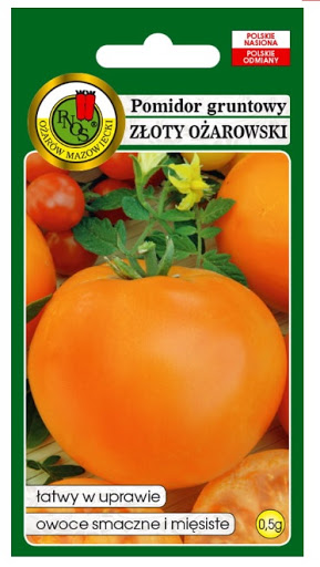 Pomidor Złoty Ożarowski gruntowy atrakcyjny owoc nasiona 0,5g PNOS - Kliknij na obrazek aby go zamknąć