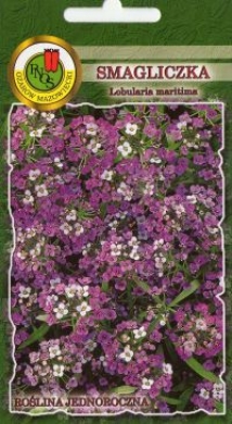 Smagliczka nadmorska fioletowa nasiona 0,5g PNOS - Kliknij na obrazek aby go zamknąć