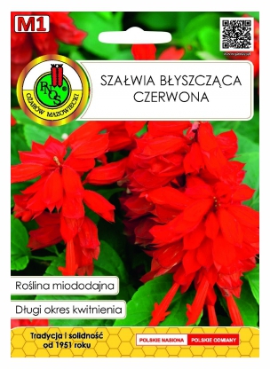 Szałwia błyszcząca czerwona miododajna nasiona 0,5g PNOS - Kliknij na obrazek aby go zamknąć