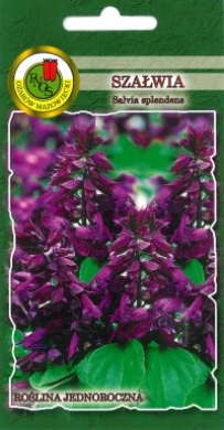 Szałwia błyszcząca fioletowa LUNA nasiona 0,5g PNOS - Kliknij na obrazek aby go zamknąć