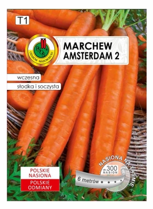 Marchew Amsterdamska nasiona na taśmie PNOS 6m - Kliknij na obrazek aby go zamknąć