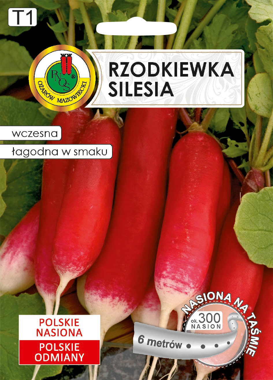 Rzodkiewka Silesia nasiona na taśmie 6m PNOS