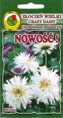 Złocień wielki Crazy Daisy biały nasiona 0,2g PNOS - Kliknij na obrazek aby go zamknąć