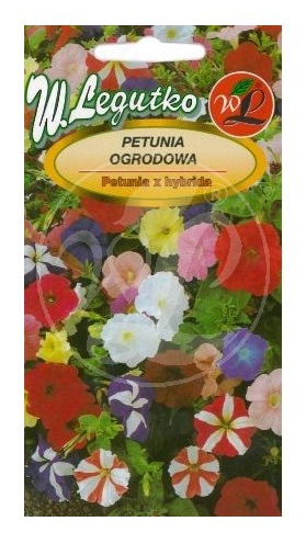 Petunia ogrodowa mieszanka nasiona 0,1g LEGUTKO - Kliknij na obrazek aby go zamknąć
