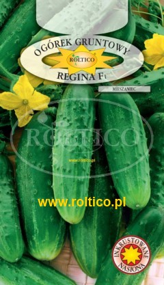 Ogórek gruntowy Regina F1 nasiona inkrustowane zaprawiane 5g ROLTICO - Kliknij na obrazek aby go zamknąć