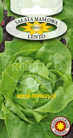 Sałata Lento masłowa nasiona inkrustowane zaprawiane 1g ROLTICO - Kliknij na obrazek aby go zamknąć