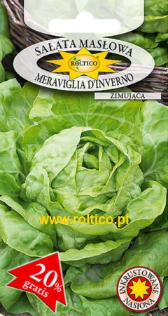 Sałata Meraviglia D’Inverno masłowa nasiona zaprawiane 1g ROLTICO - Kliknij na obrazek aby go zamknąć