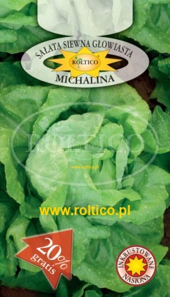 Sałata Michalina masłona nasiona inkrustowane zaprawiane 1g ROLTICO - Kliknij na obrazek aby go zamknąć