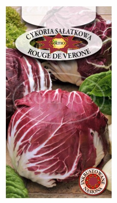 Cykoria sałatkowa Rouge de Verone nasiona 0,5g ROLTICO - Kliknij na obrazek aby go zamknąć