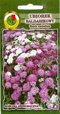 Ubiorek baldaszkowy lila nasiona 1g PNOS - Kliknij na obrazek aby go zamknąć